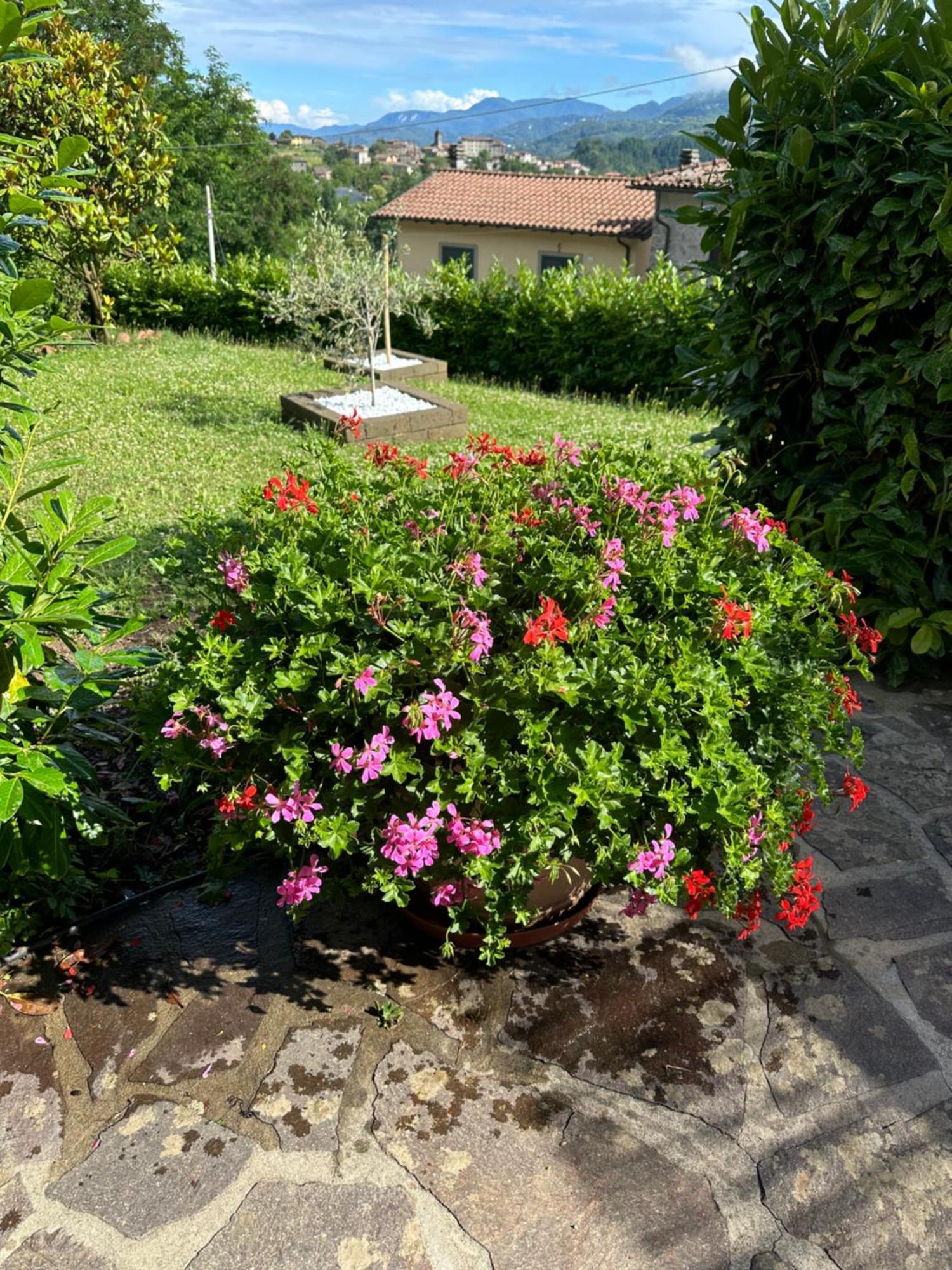 Casa Margherita Celide San Romano Exteriér fotografie